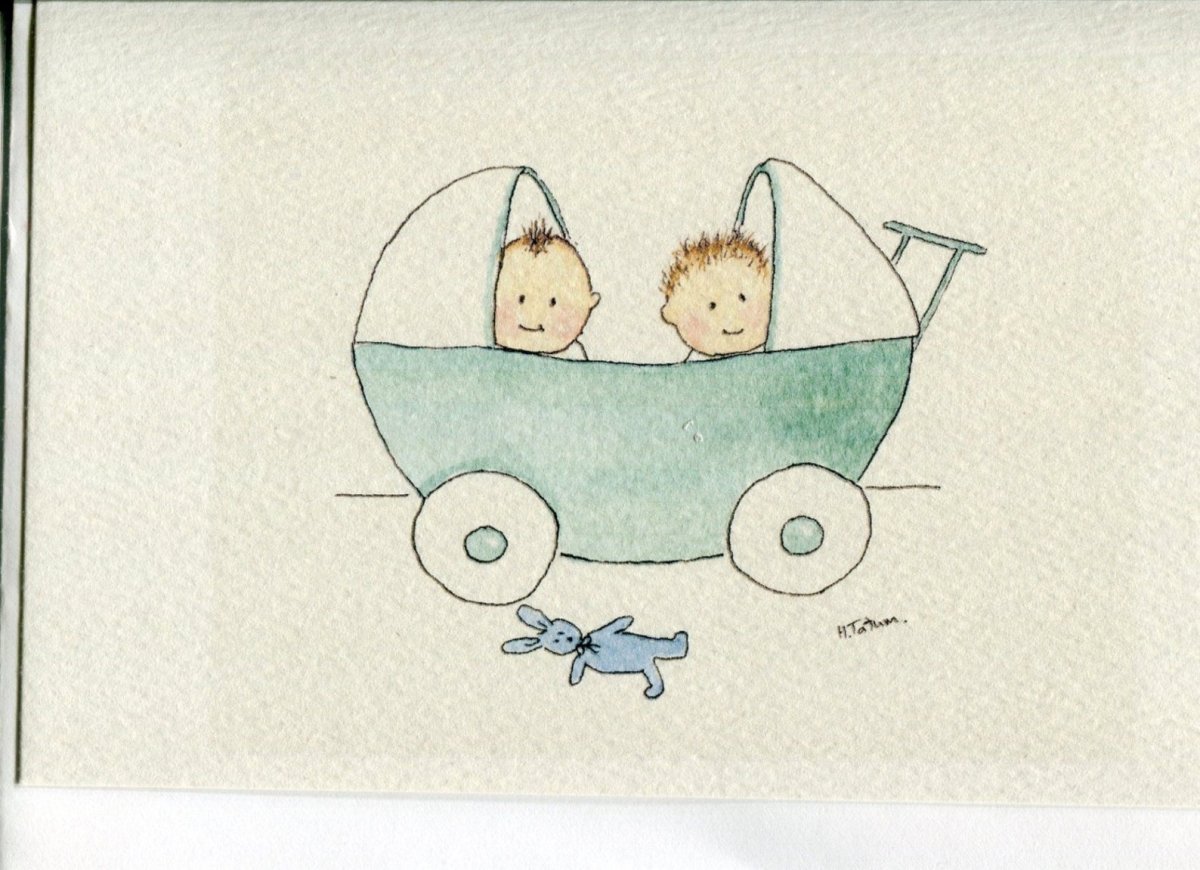 С рождением близняшек мальчиков