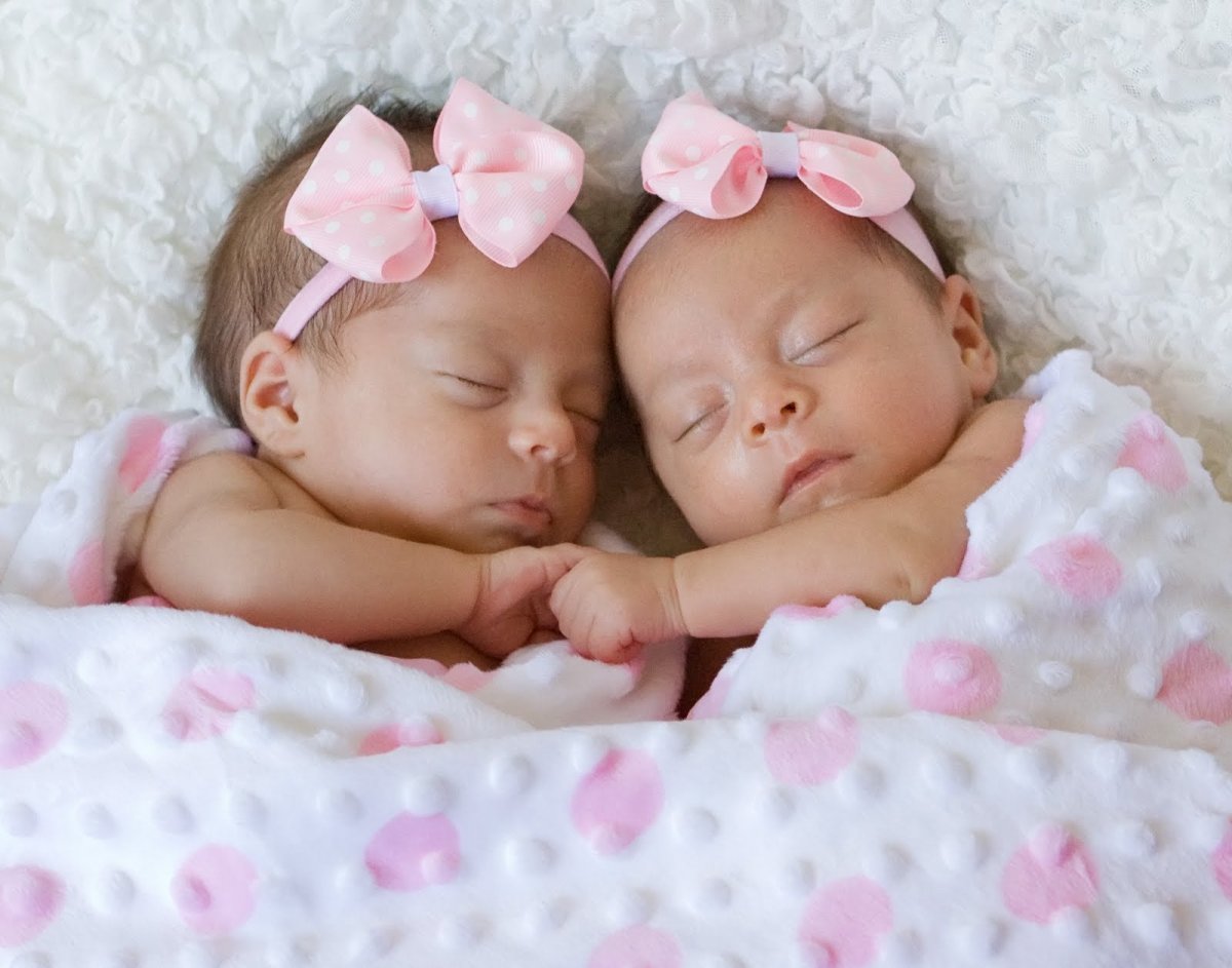 Аист с двойняшками