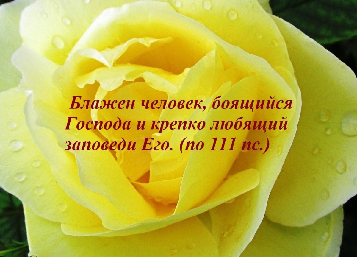 Христианские открытки с Цитатами из Библии