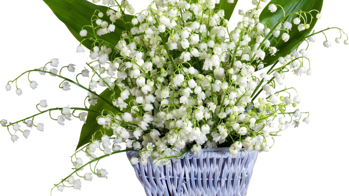 Букет ландышей