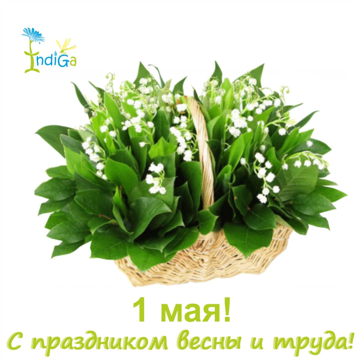 Ландыши Эстетика