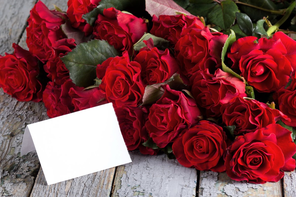 Букет красных роз