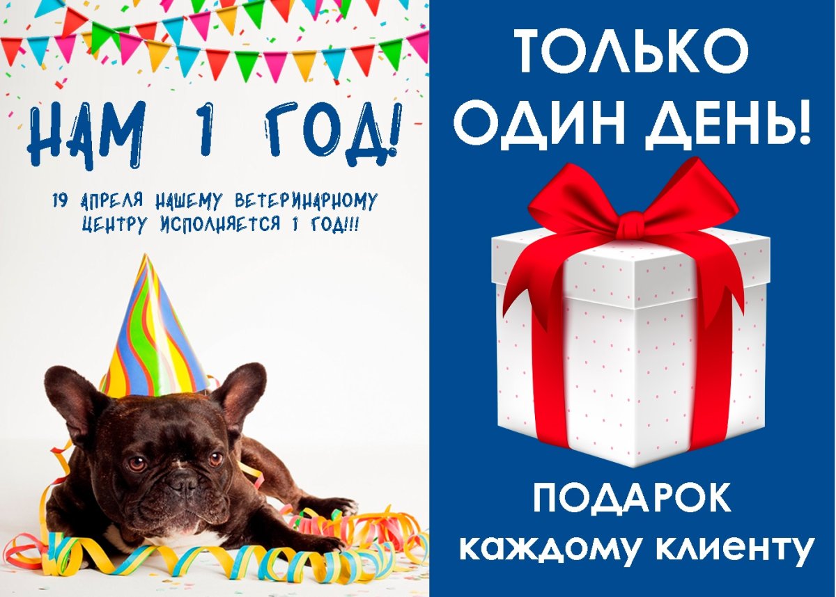 Поздравляем с победой