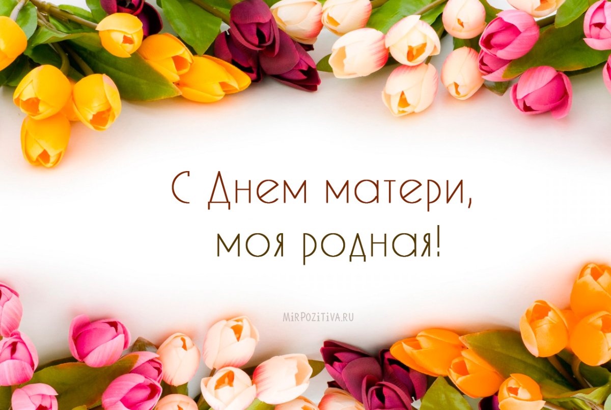 С днём рождения подруге