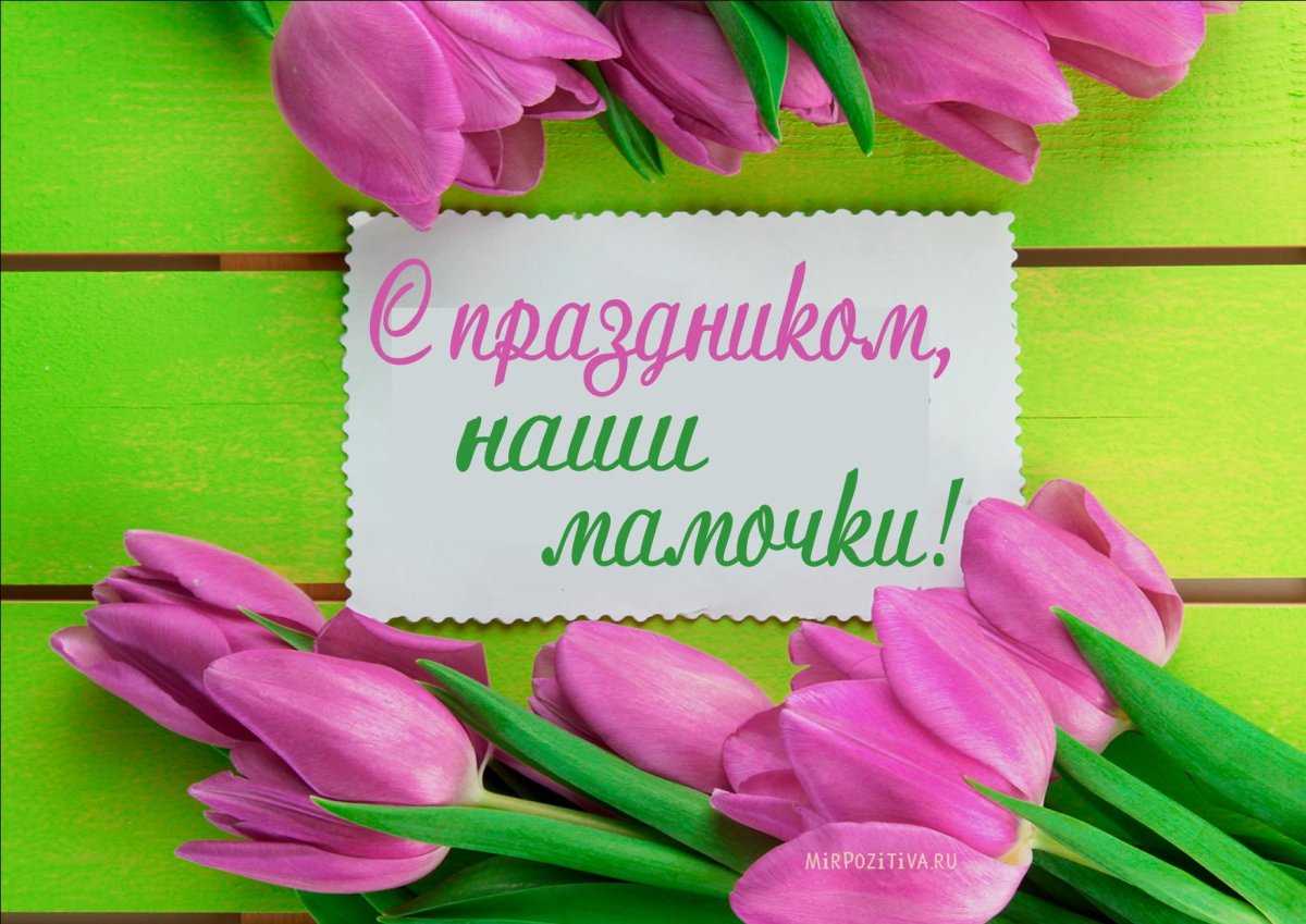 Дорогие наши коллеги с 8 марта