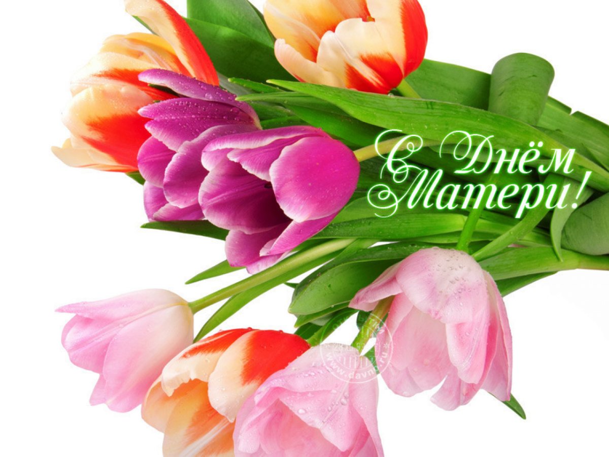 Поздравление с праздником с цветами. День матери. С днём матери поздравления. Открытка. С днем матери цветы.