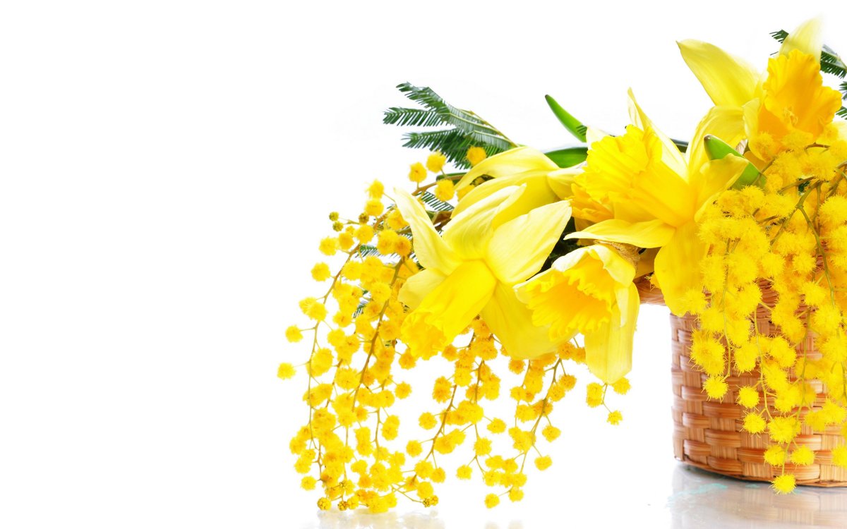 Любимой свекрови