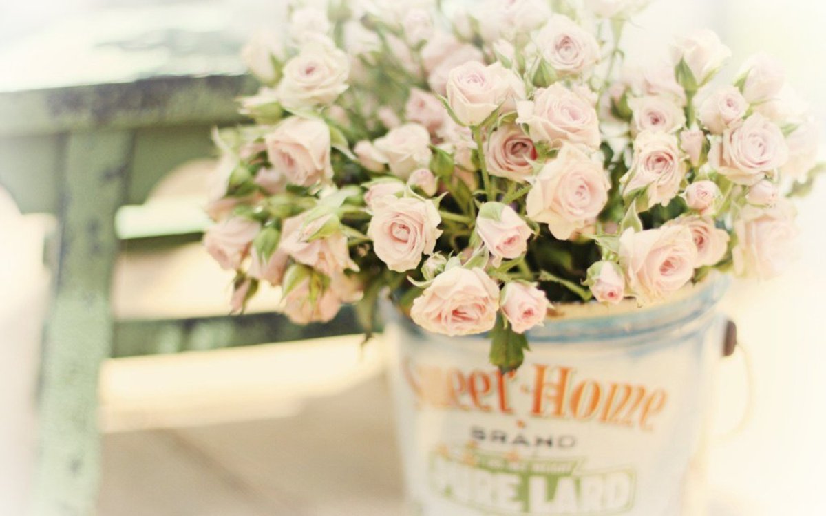 С днем рождения нежные цветы