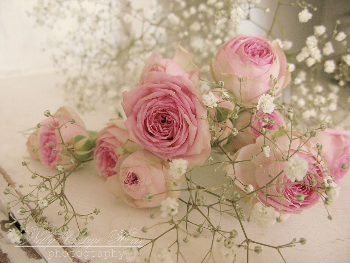 Цветы в пастельных тонах