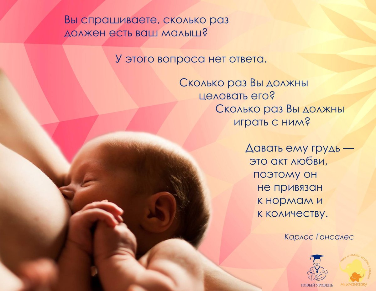 Афоризмы про бабушку