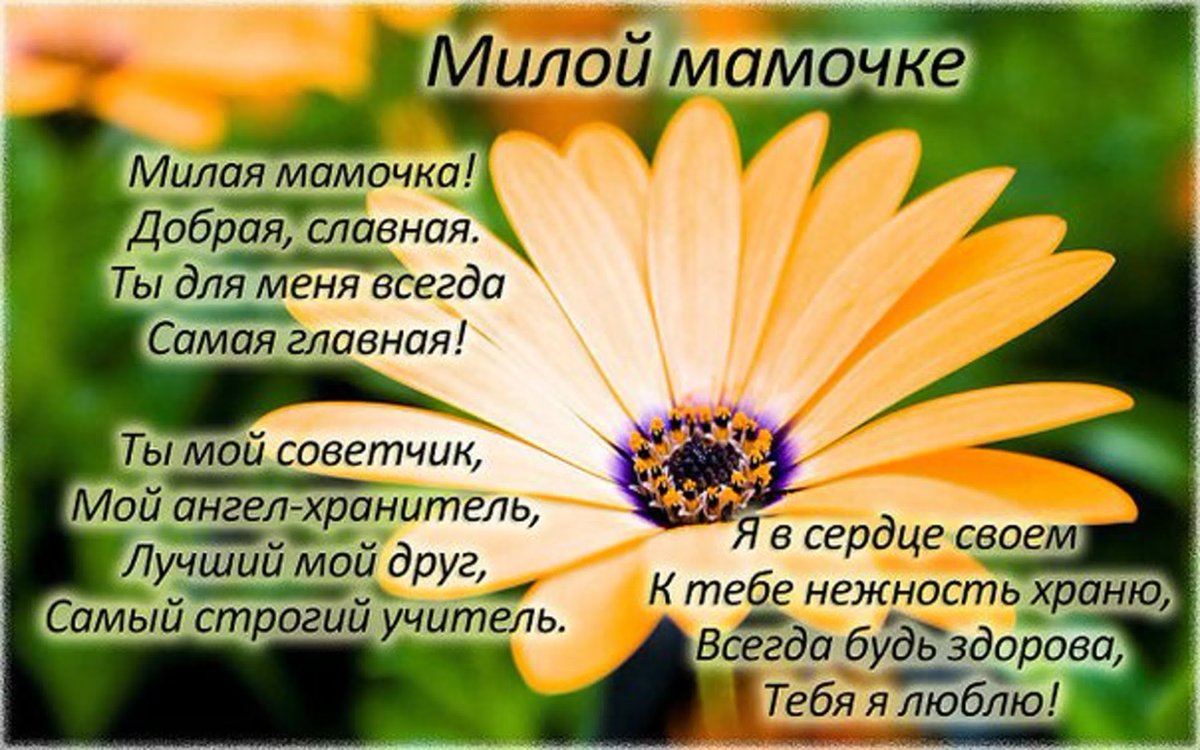 Поздравление с днем Матри