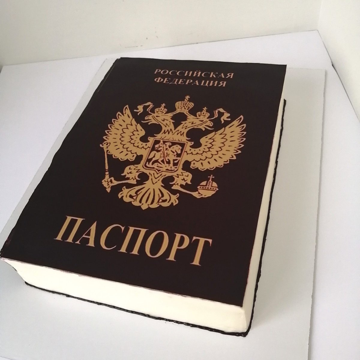 Паспорт РФ обложка