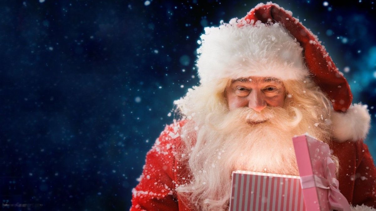 Марина Федотова котята