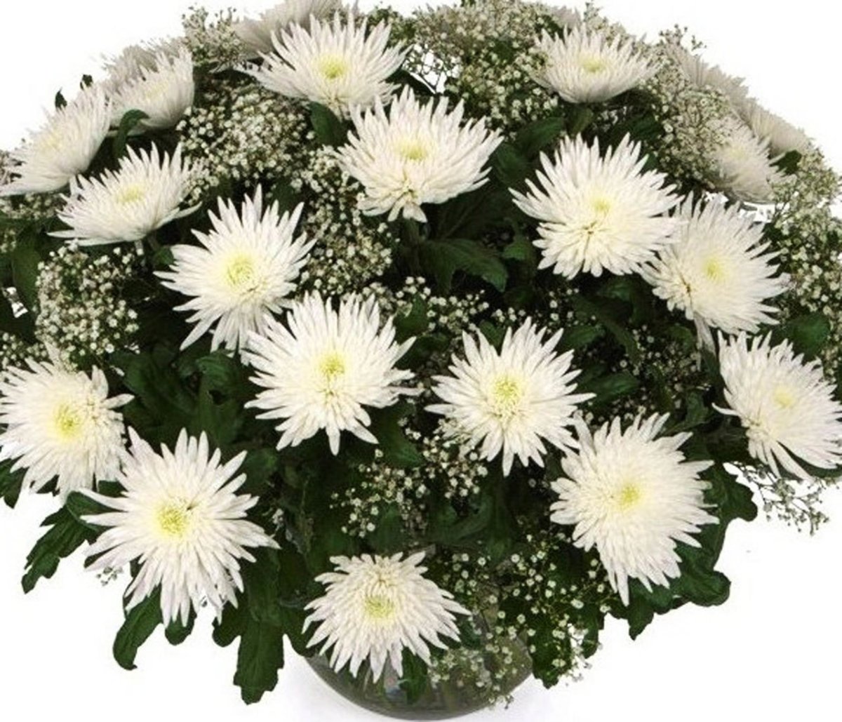 Букет из одноголовых хризантем 25шт