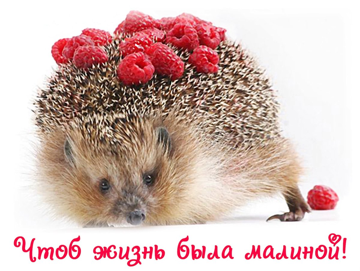 Советские открытки