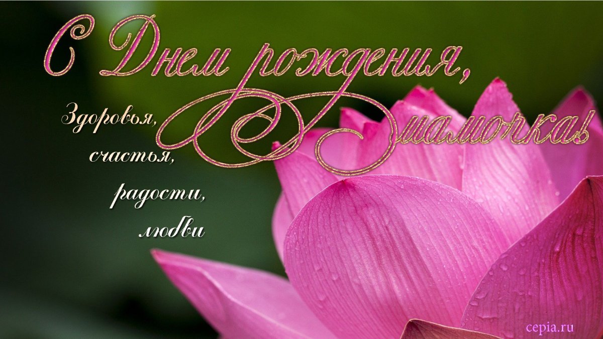 Поздравления с днём рождения Мем