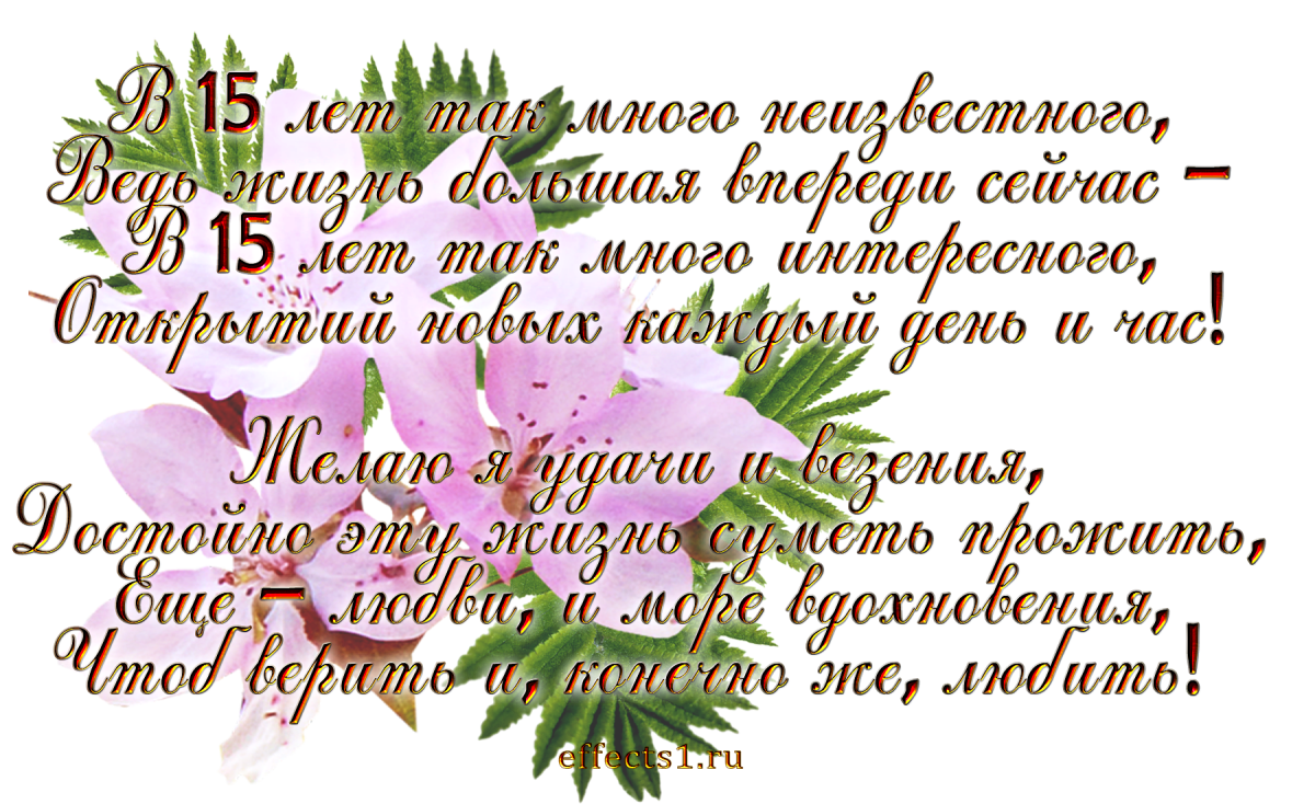 Поздравления с днём рождения 20 лет