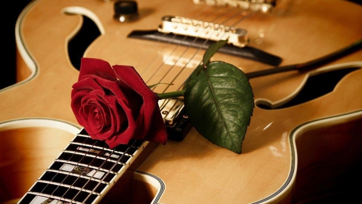 Цветы для музыканта