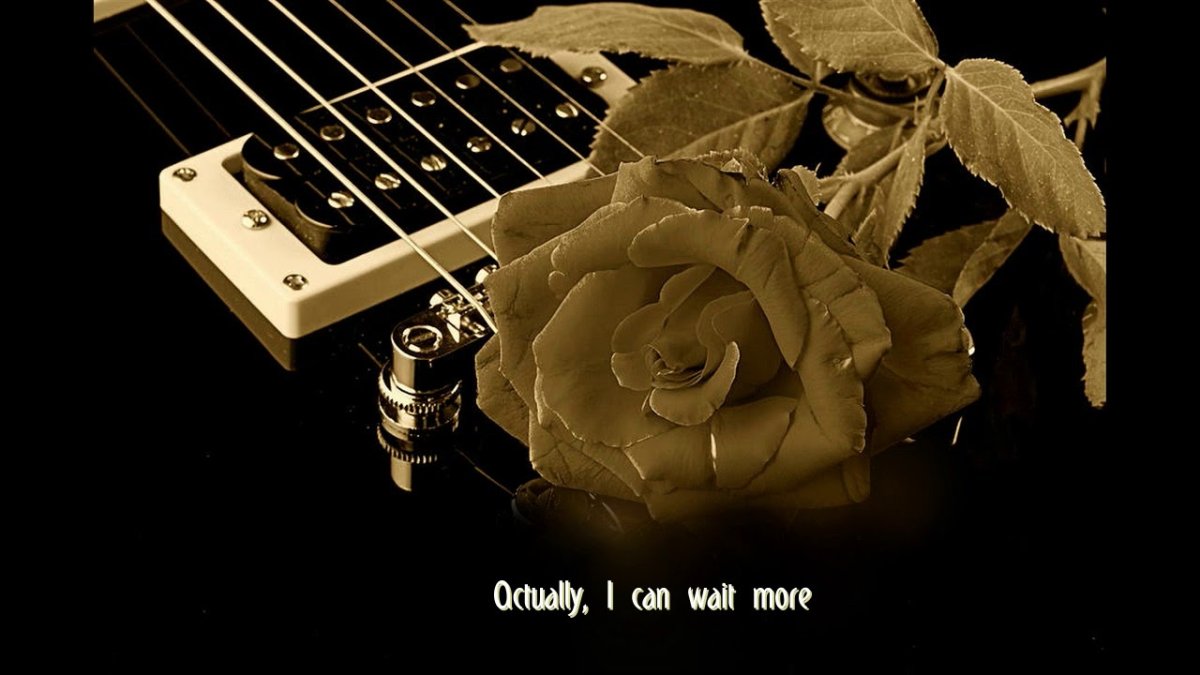 Гитара и роза