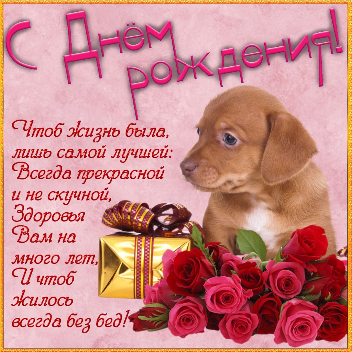 Поздравления с днём рождения Алена