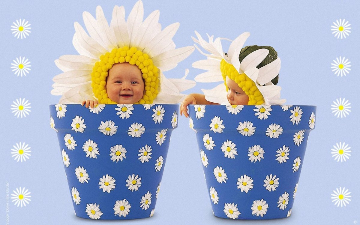 С днемирождегия близнецов