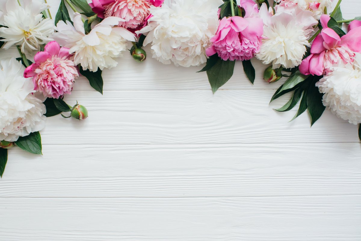 Баннер цветы