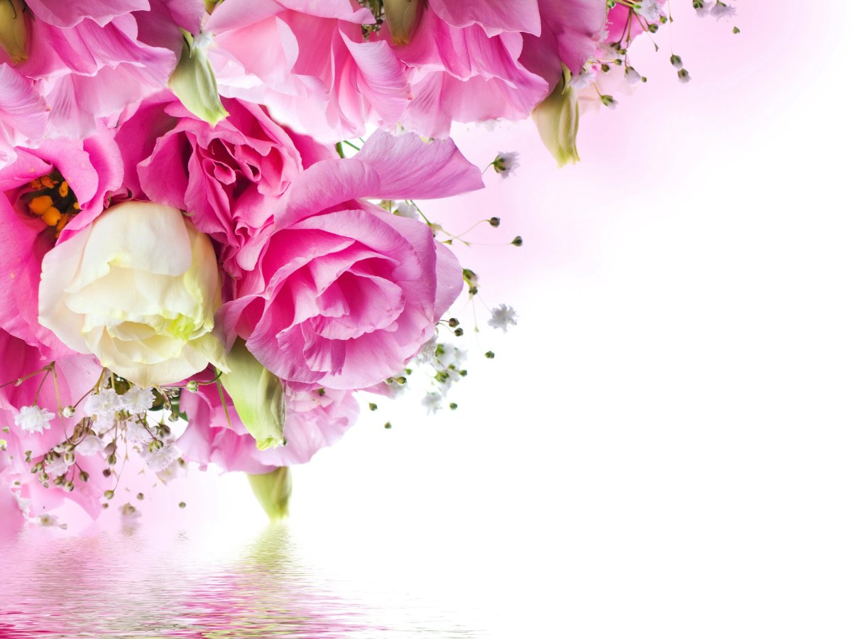 Фон с цветами для поздравления