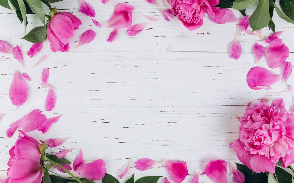 Красивый фон для текста