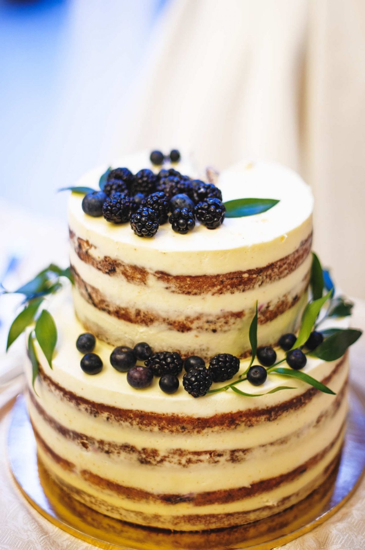 Медовик Андерсон