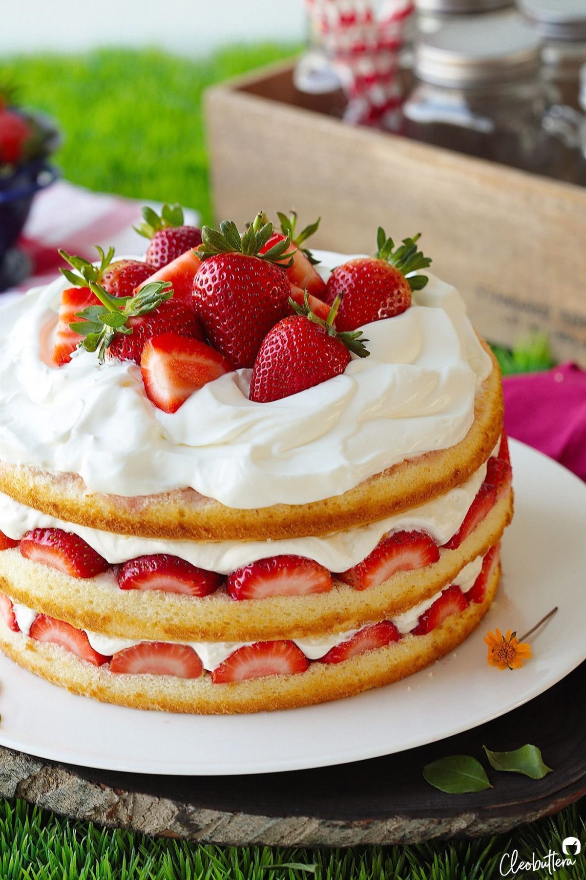 Бисквит со взбитыми сливками