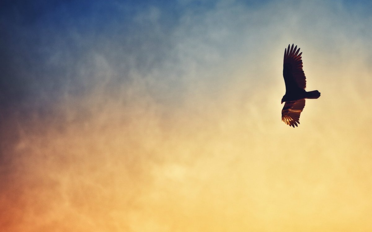 Мудрые пожелания