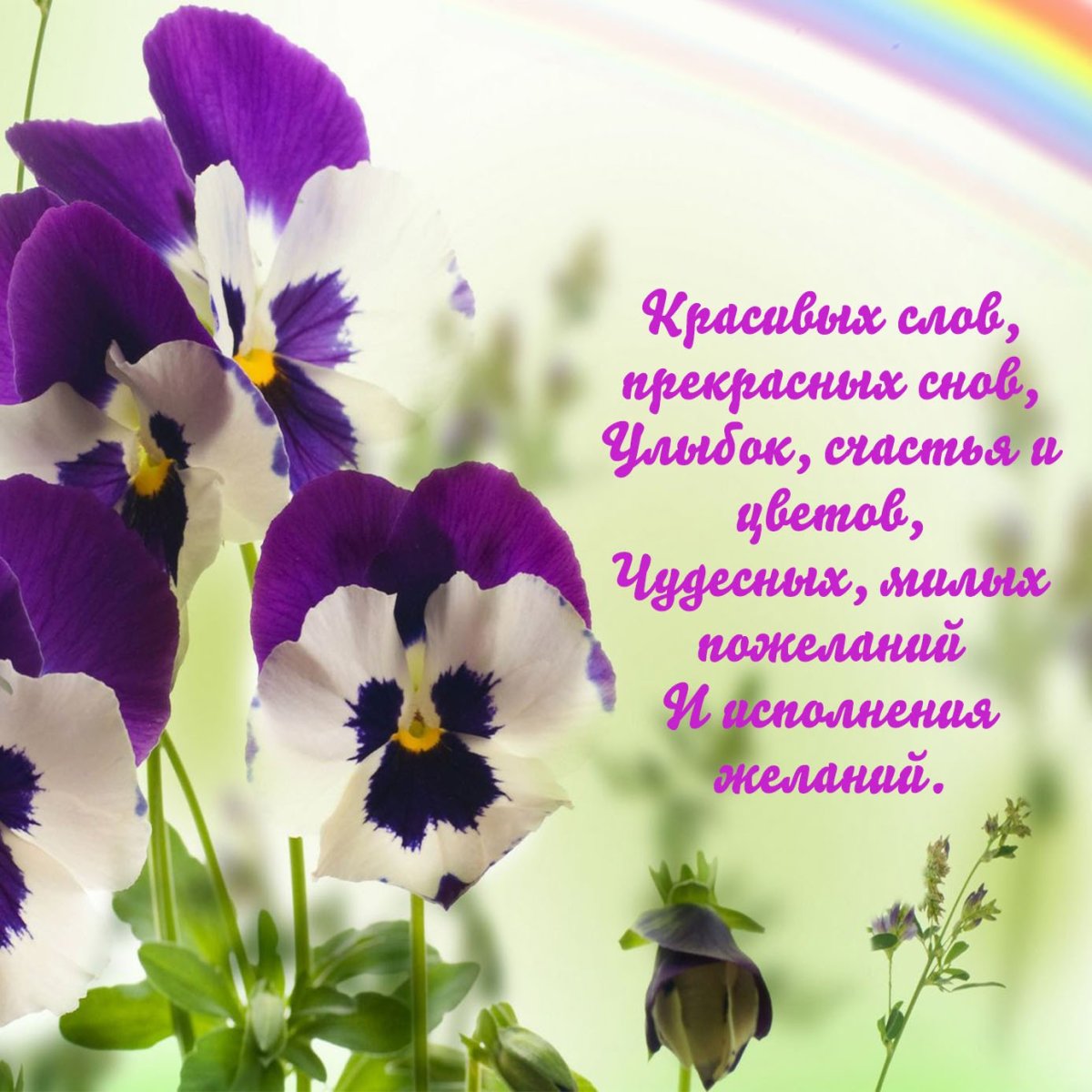 Мудрые цитаты