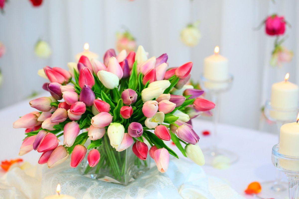 С днём рождения тюльпаны