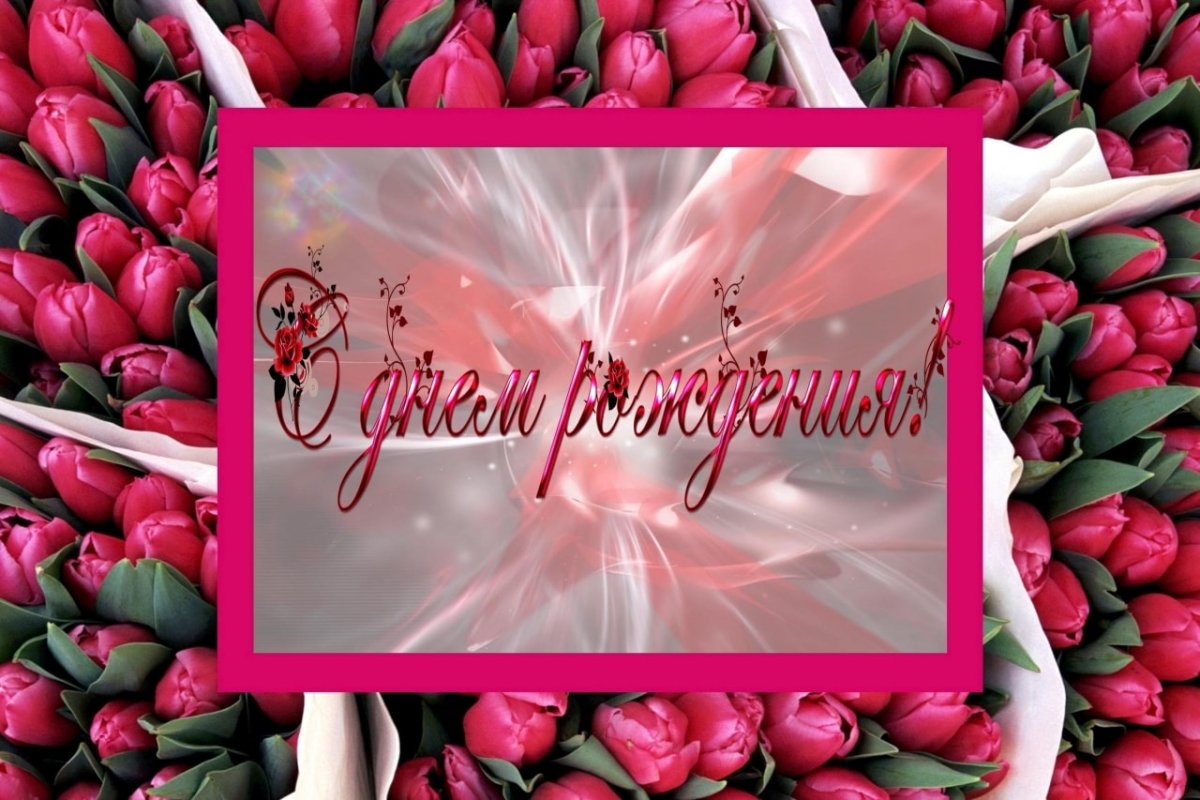 С днём рождения женщине тюльпаны