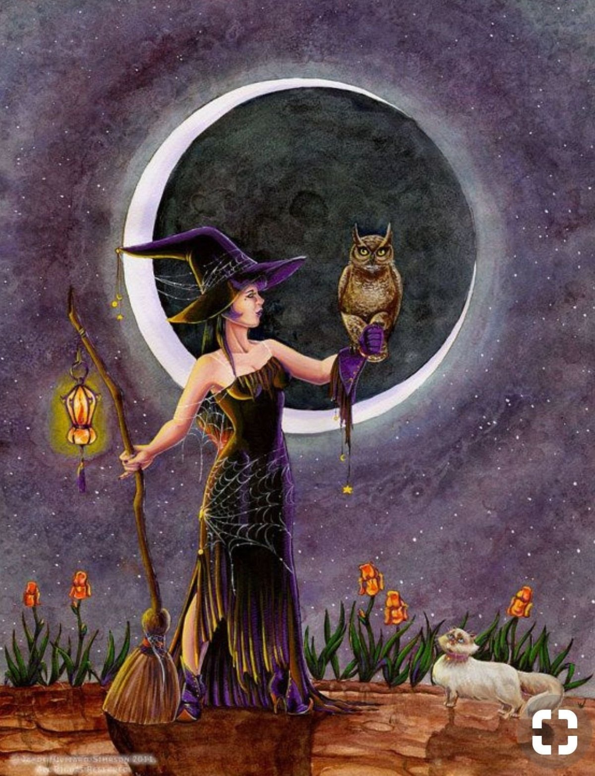 Волшебница с котом