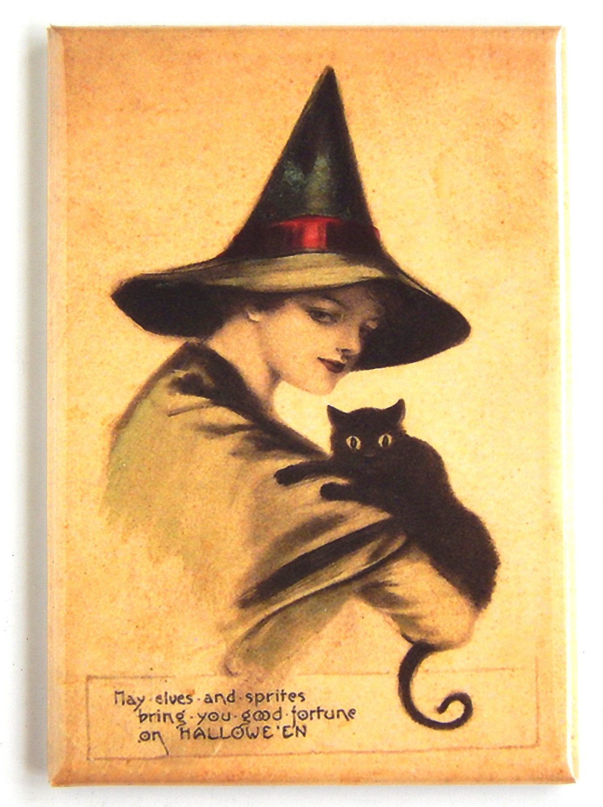 Ведьмочка с кошкой на метле