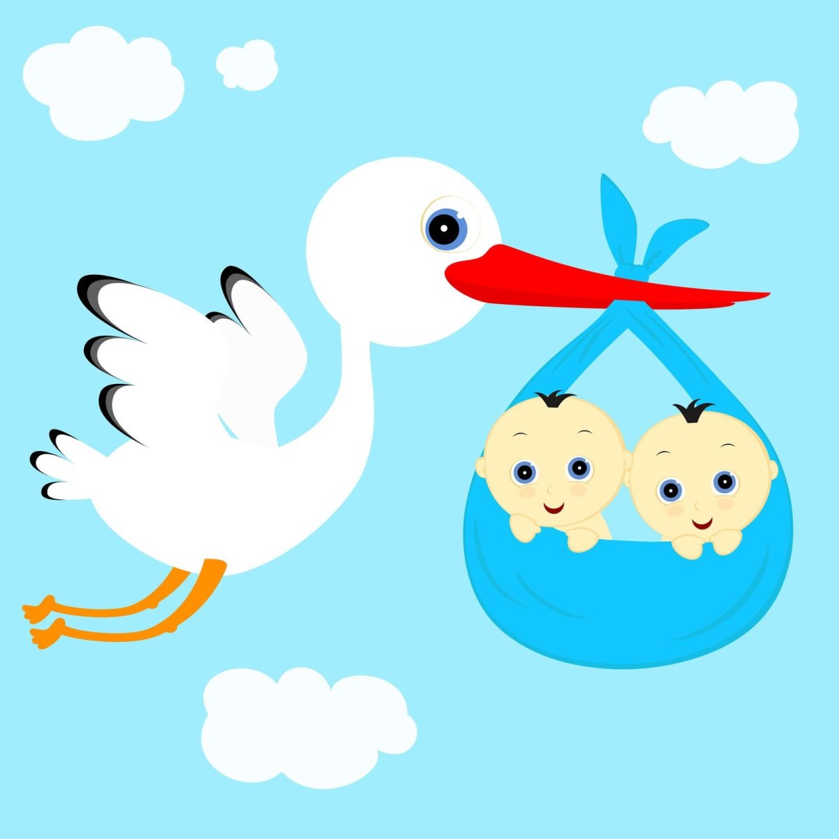 С рождением близнецов мальчиков