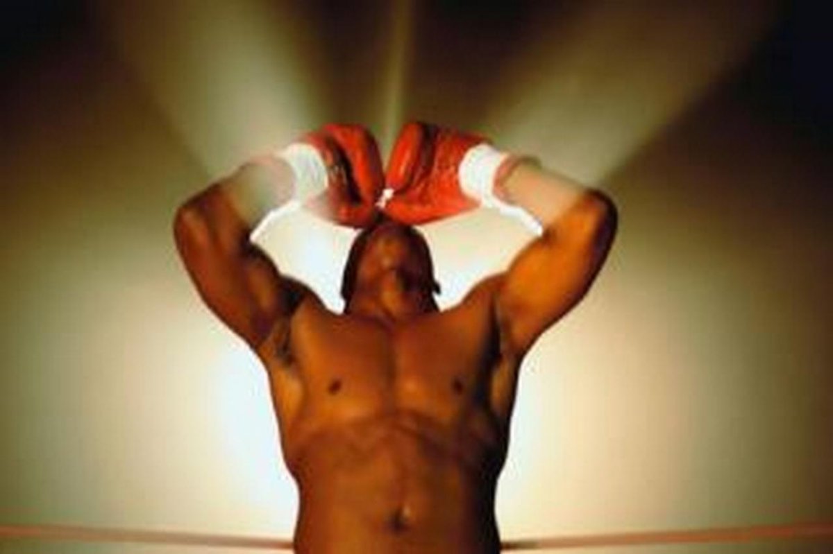 Животные в боксерских перчатках