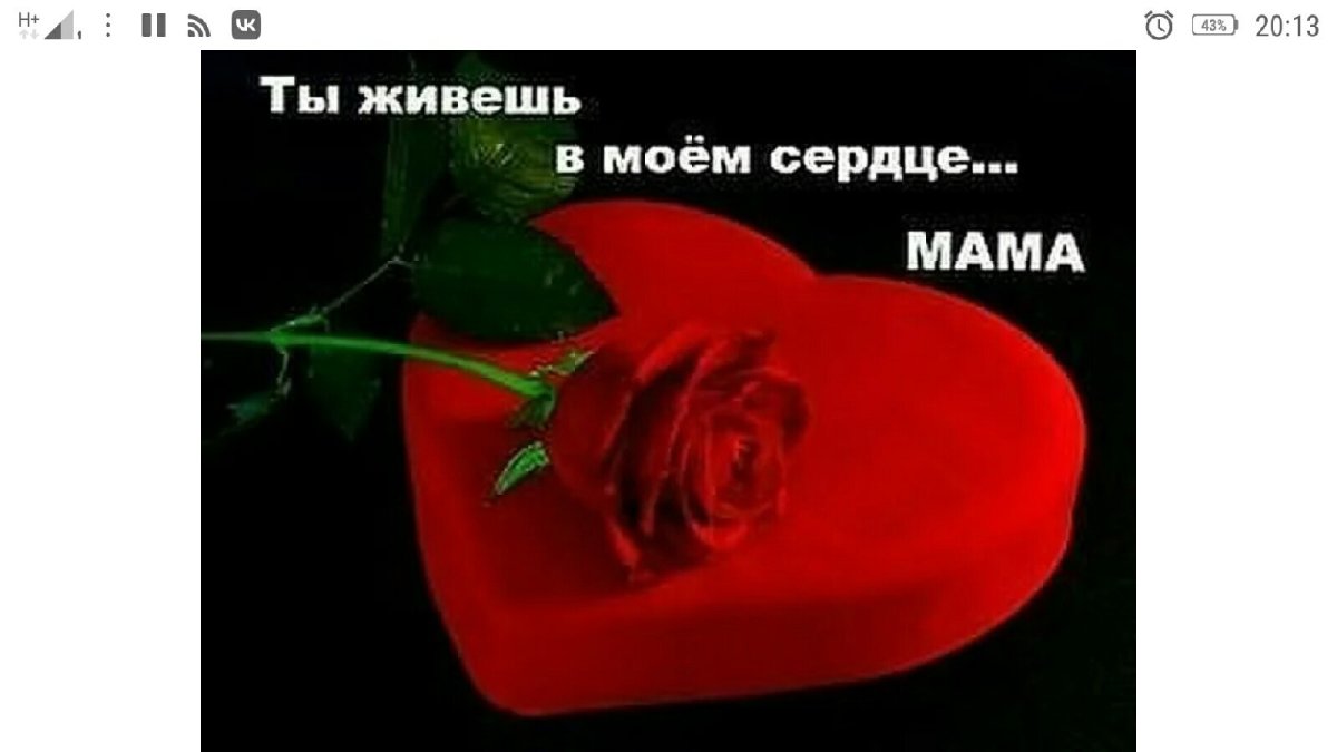 Поздравления родных и близких