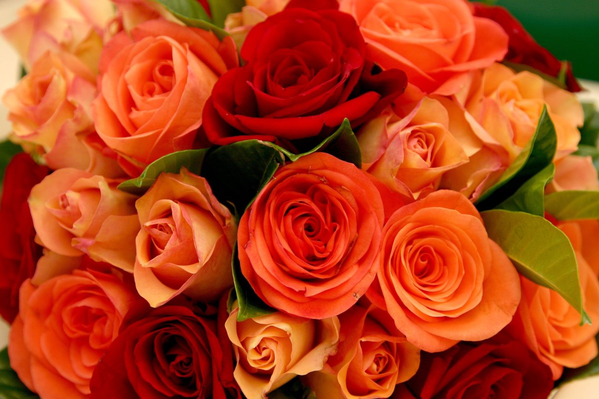 Букет цветов