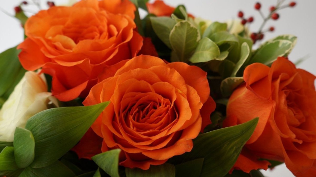 Розово оранжевые цветы