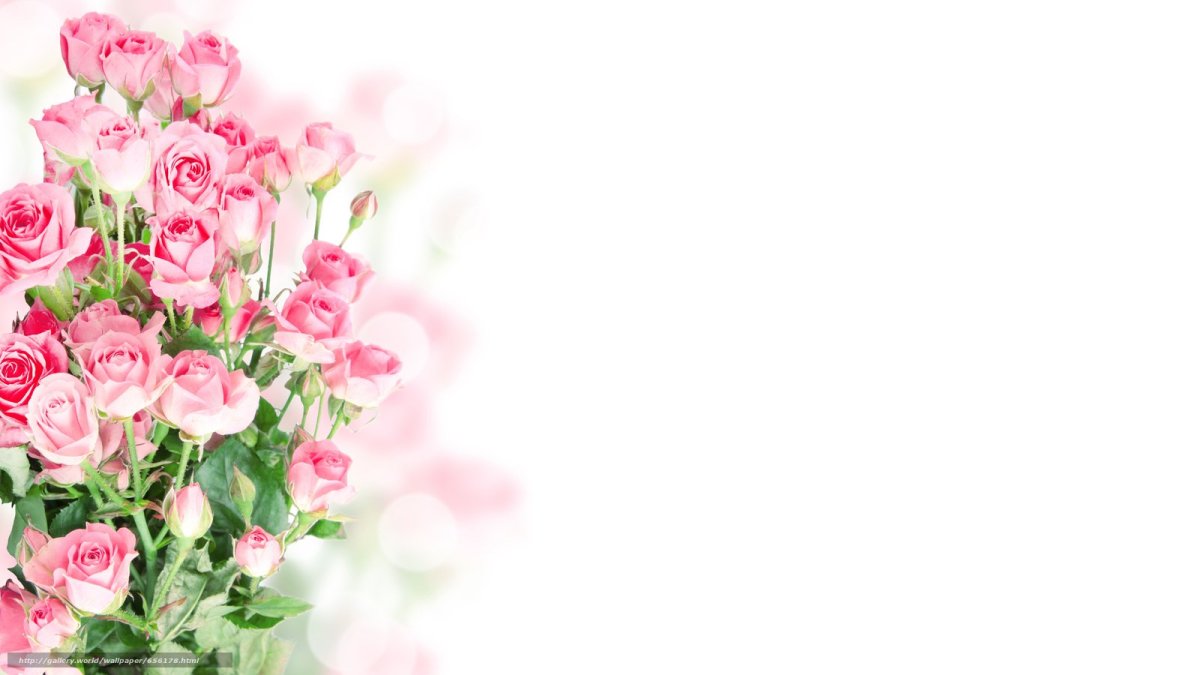 Цветы на белом фоне Минимализм