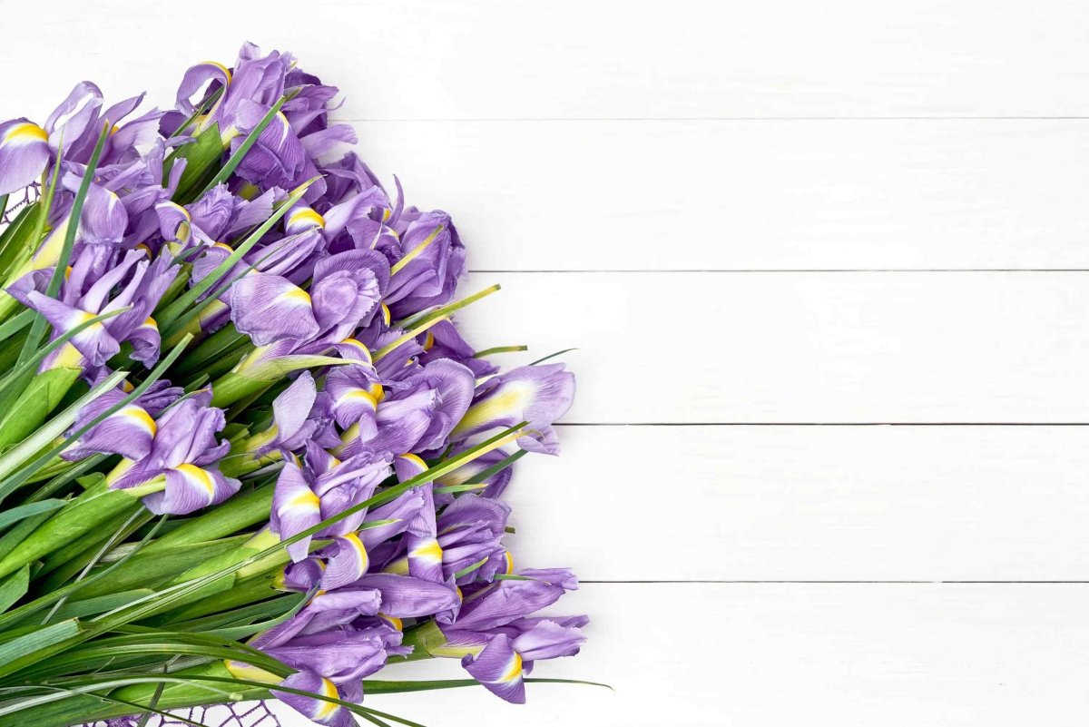 Красивый букет