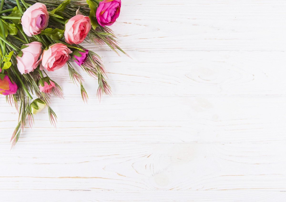 Пустая открытка с пионами