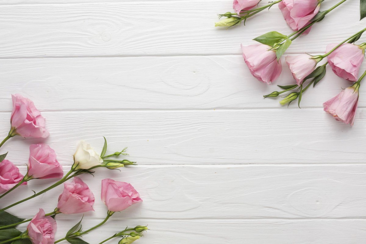 Нежный цветок