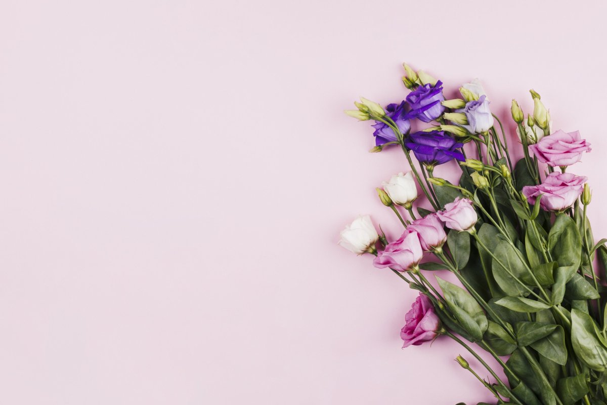 Фон для открытки