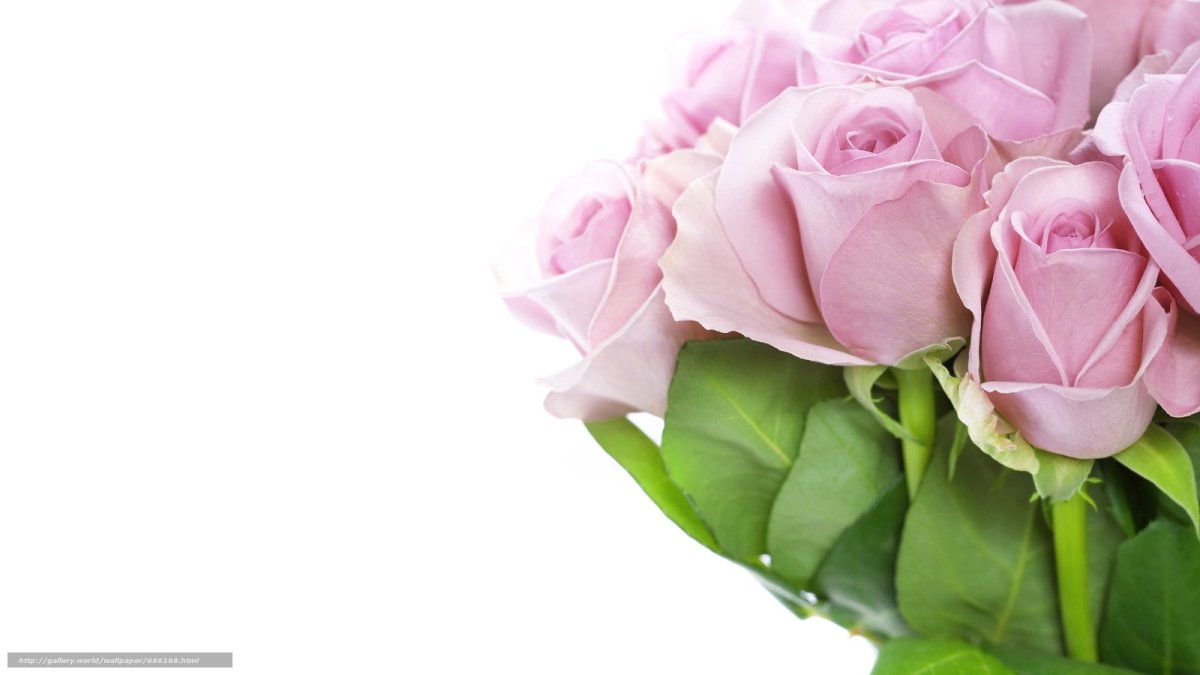 Акварельный фон для пригласительных