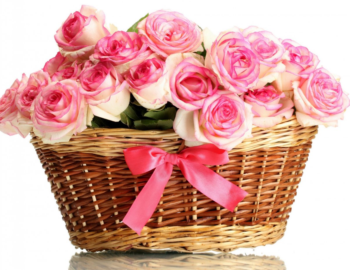 Фон для открытки