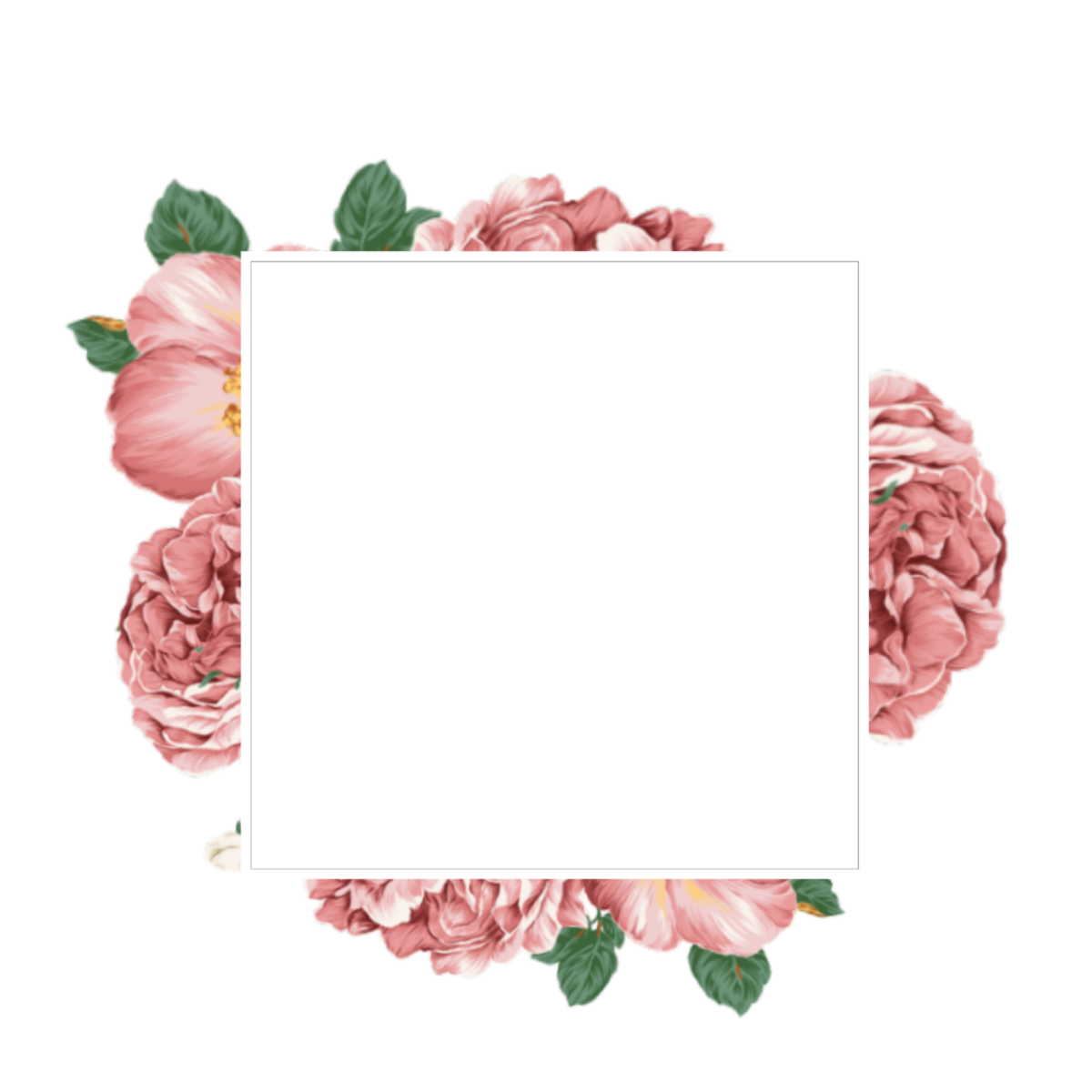 Яркие цветы на белом фоне