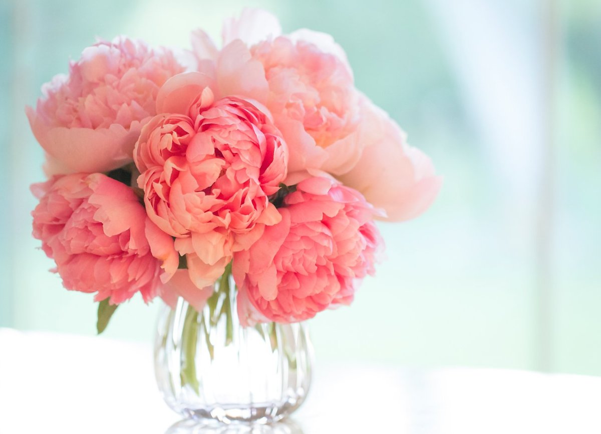 Открытки с днем рождения пионы